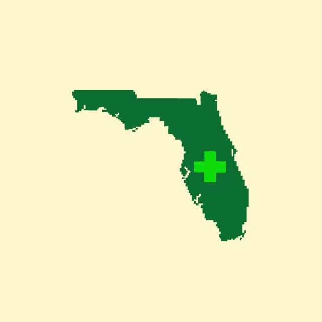 Healthcare accounting in Florida