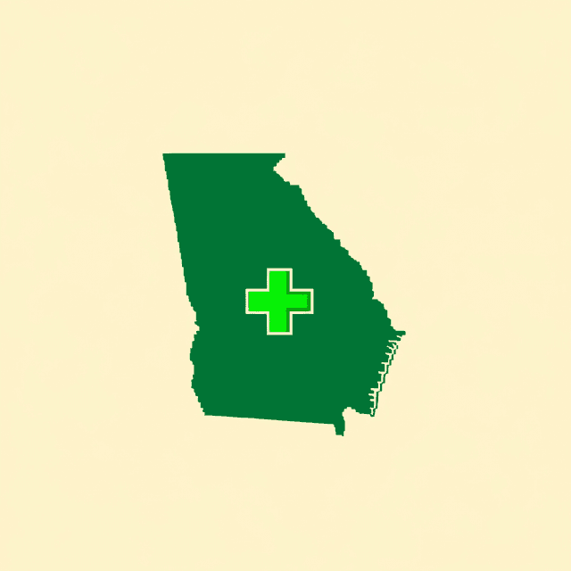 Healthcare accounting in Georgia