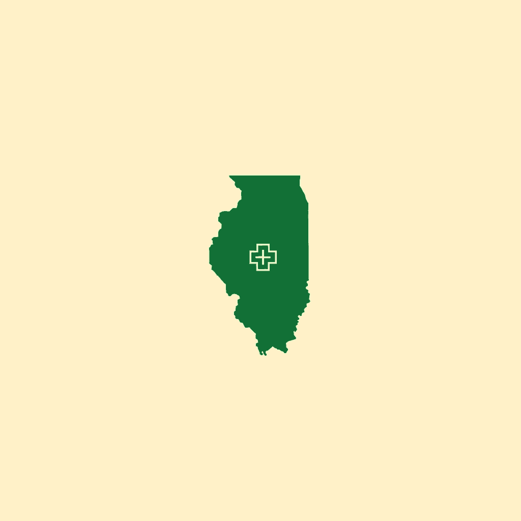 Healthcare accounting in Illinois