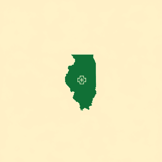 Healthcare accounting in Illinois