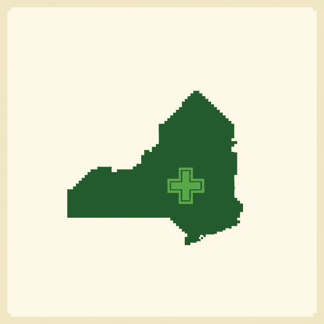 Healthcare accounting in New York