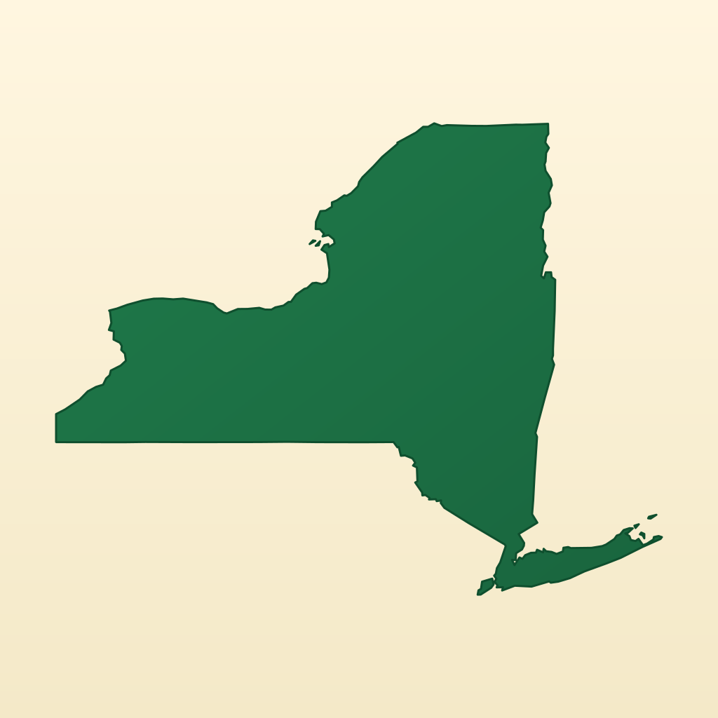 Healthcare accounting in New York