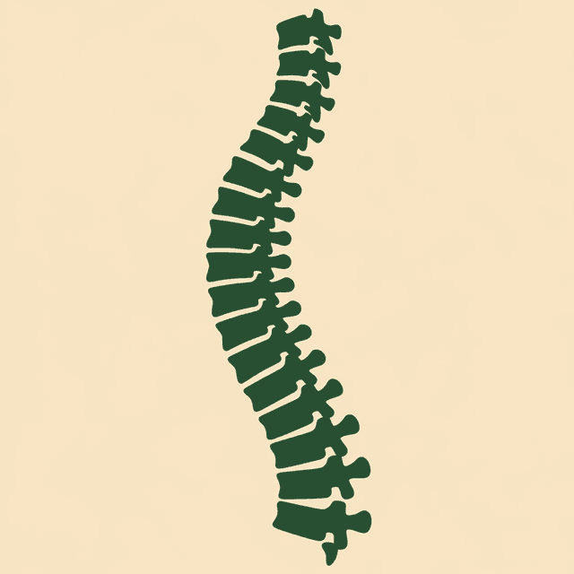 Chiropractic Practices