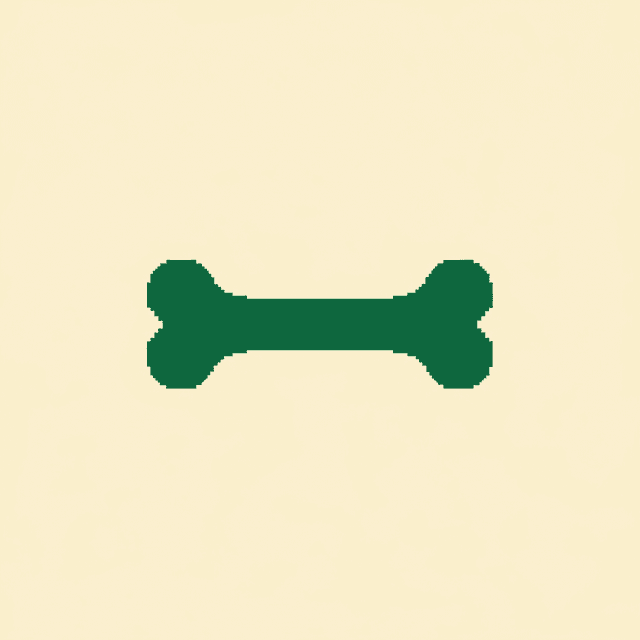 Orthopedic Practices