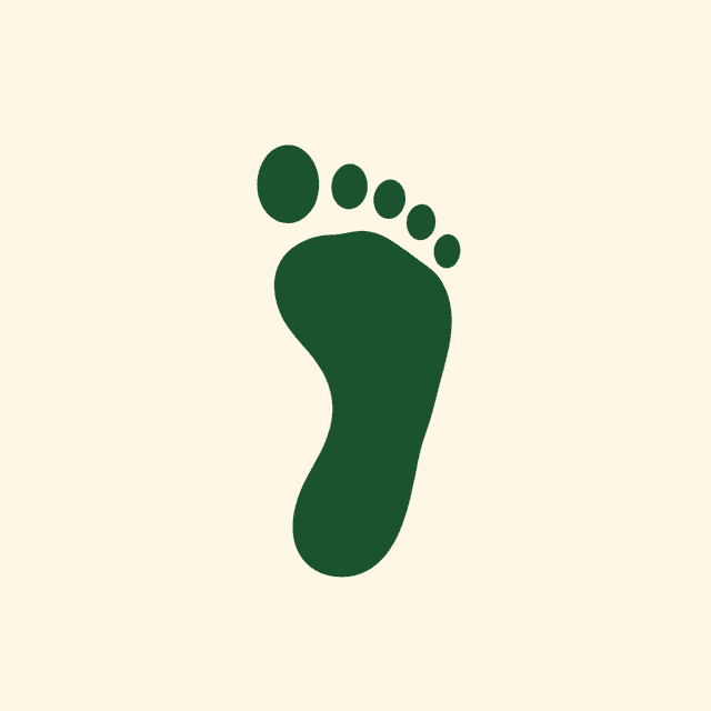 Podiatry Practices